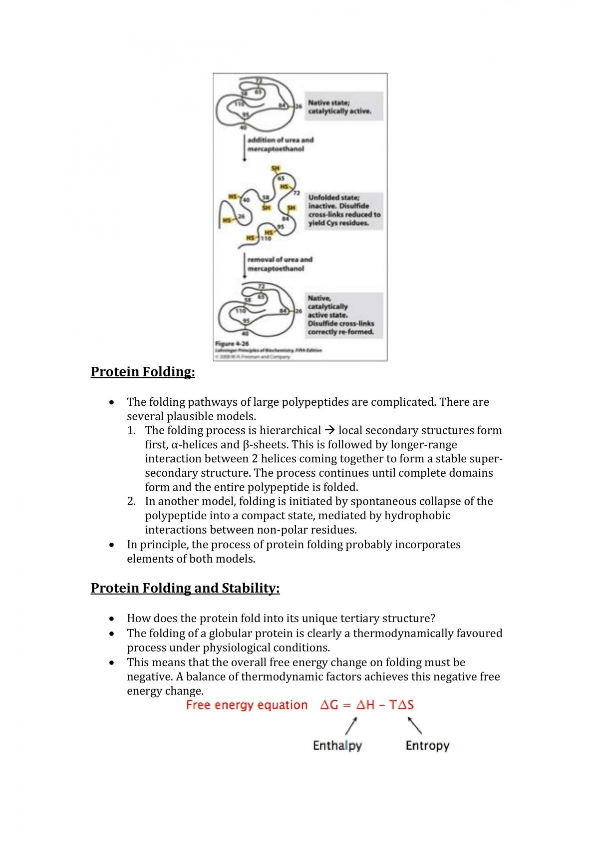 Structural Biochemistry Notes - Page 42