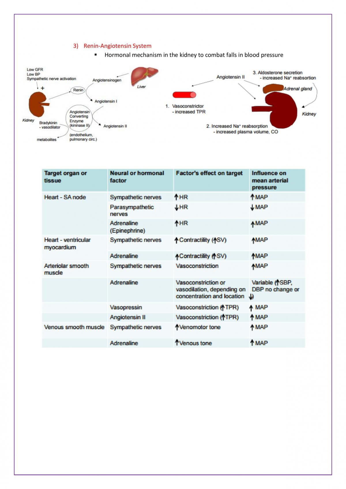 Physiology Final Exam Notes - Page 32