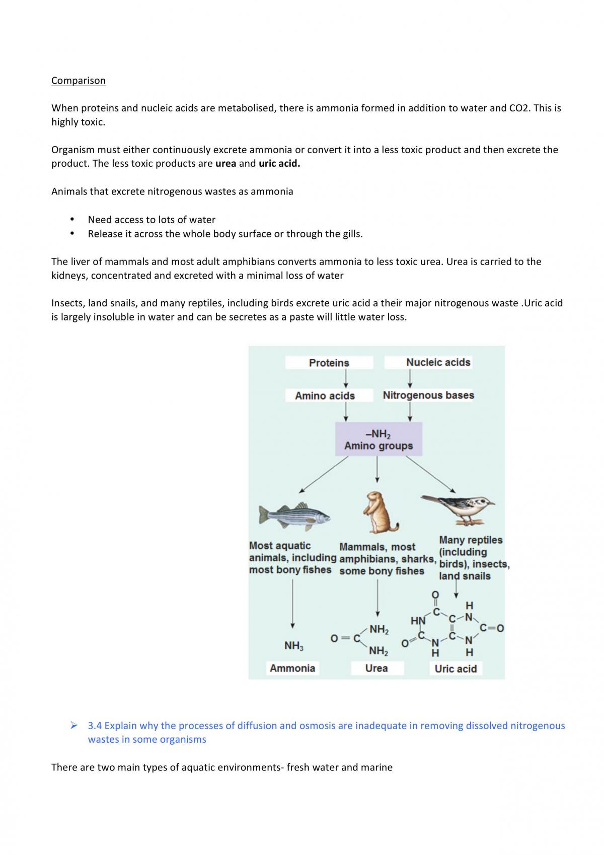 Maintaining a Balance Notes - Page 32