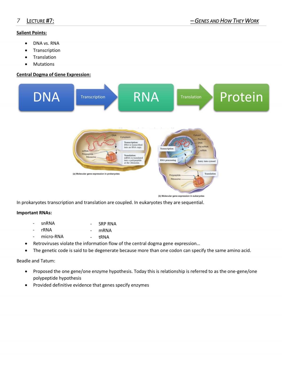 Cell Biology Study Notes - Page 35