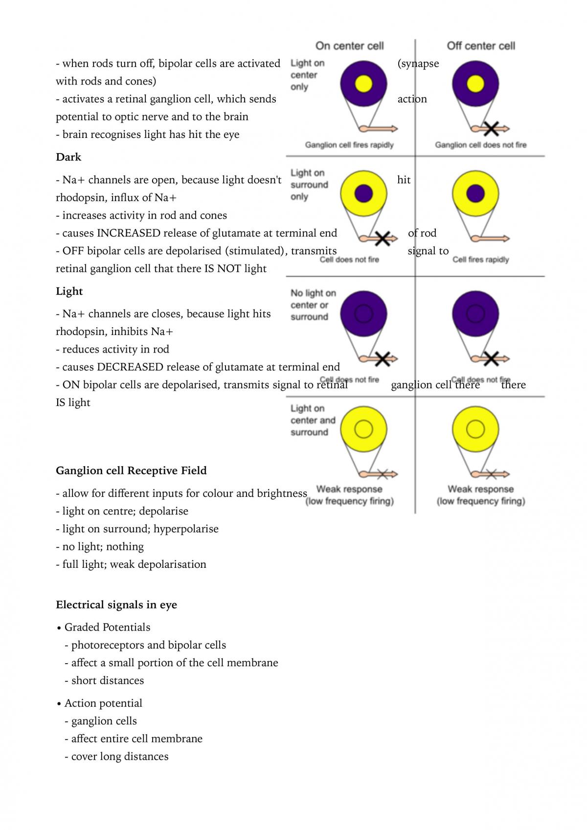 Human Physiology - Final Exam Notes - Page 52