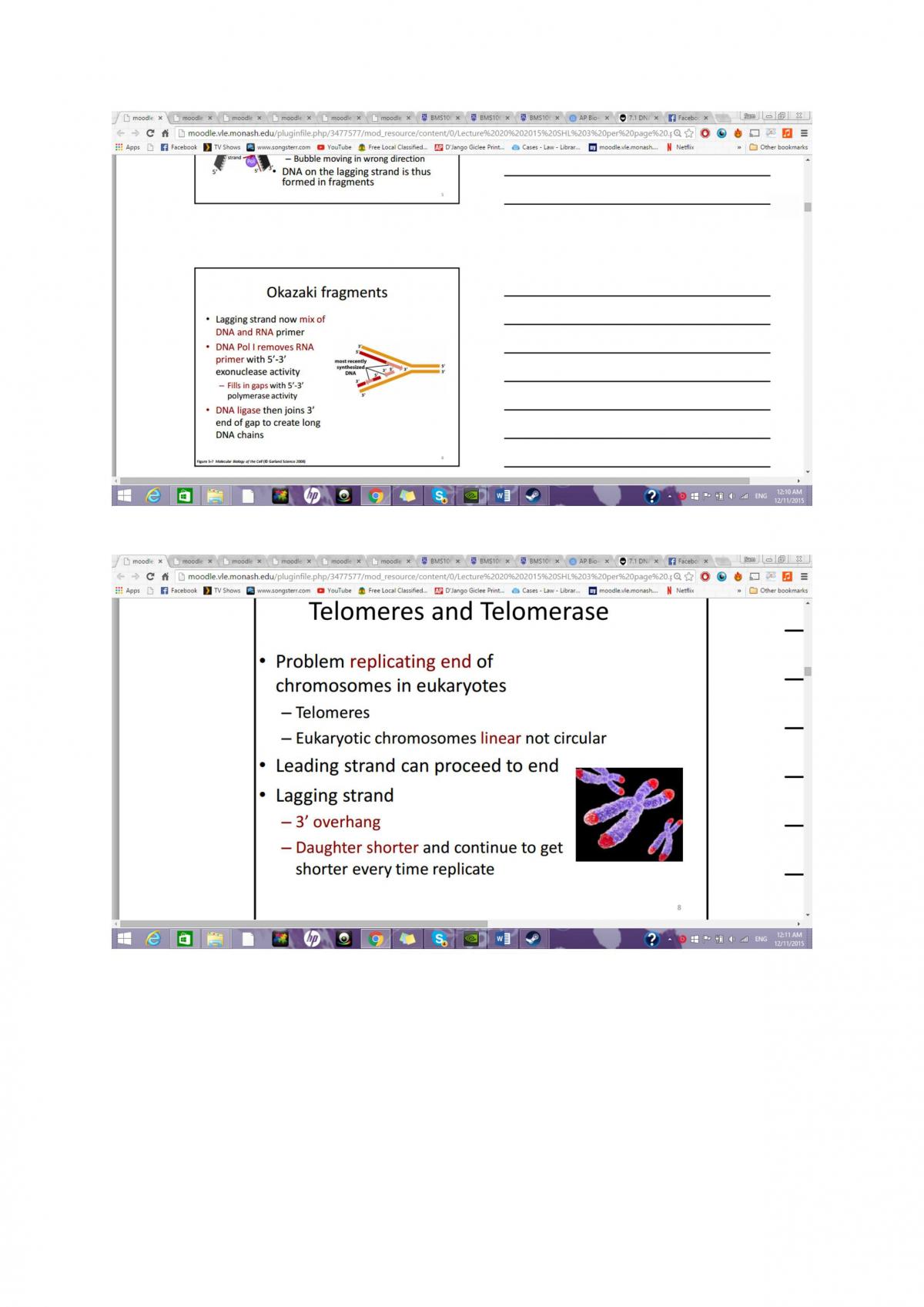 Microbiology Detailed Notes - Page 27