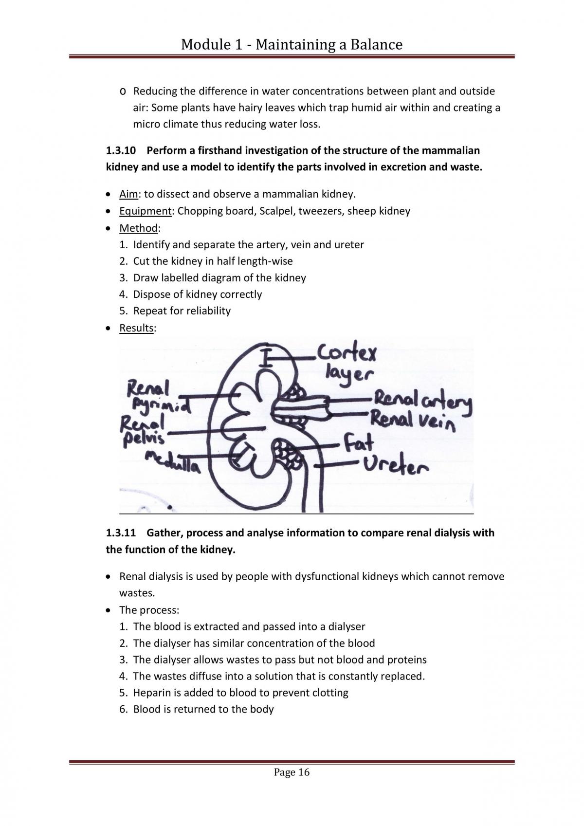 Module 1 - Maintaining a Balance - Page 16