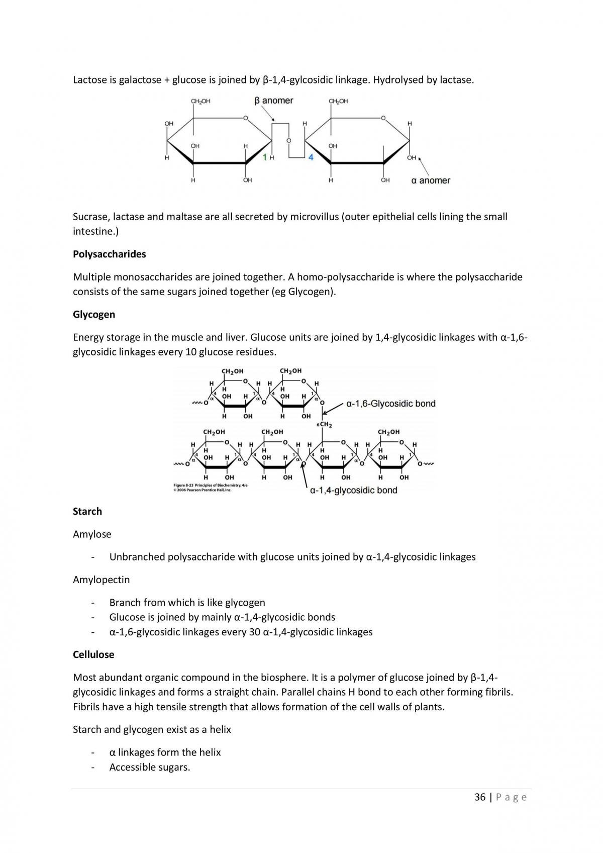 Biochemistry Lecture Notes - Page 36