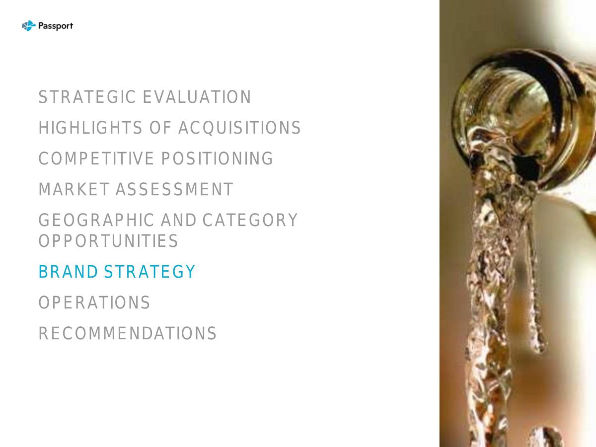 Coca Cola SWOT Analysis HSC Case Study - Page 33