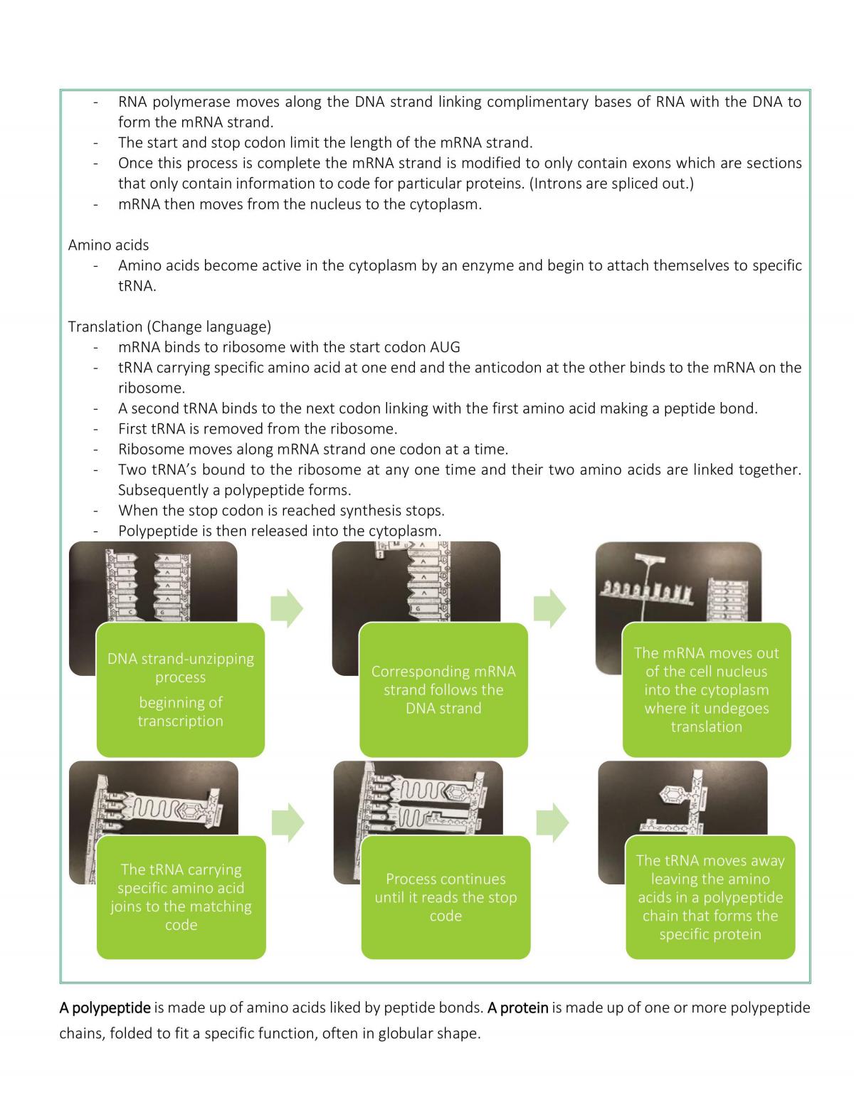 Core Topic- Blueprint of Life Full Set of Notes - Page 15