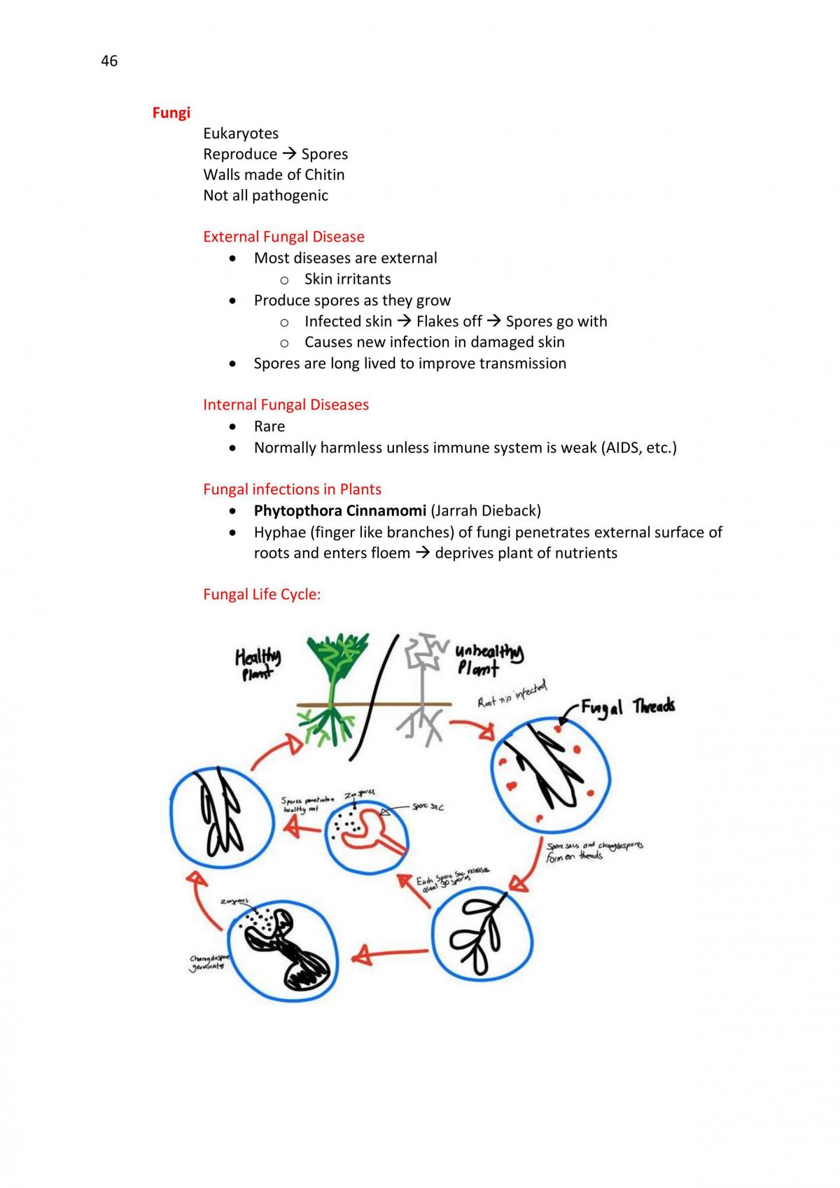 WACE Biology Notes - Page 46
