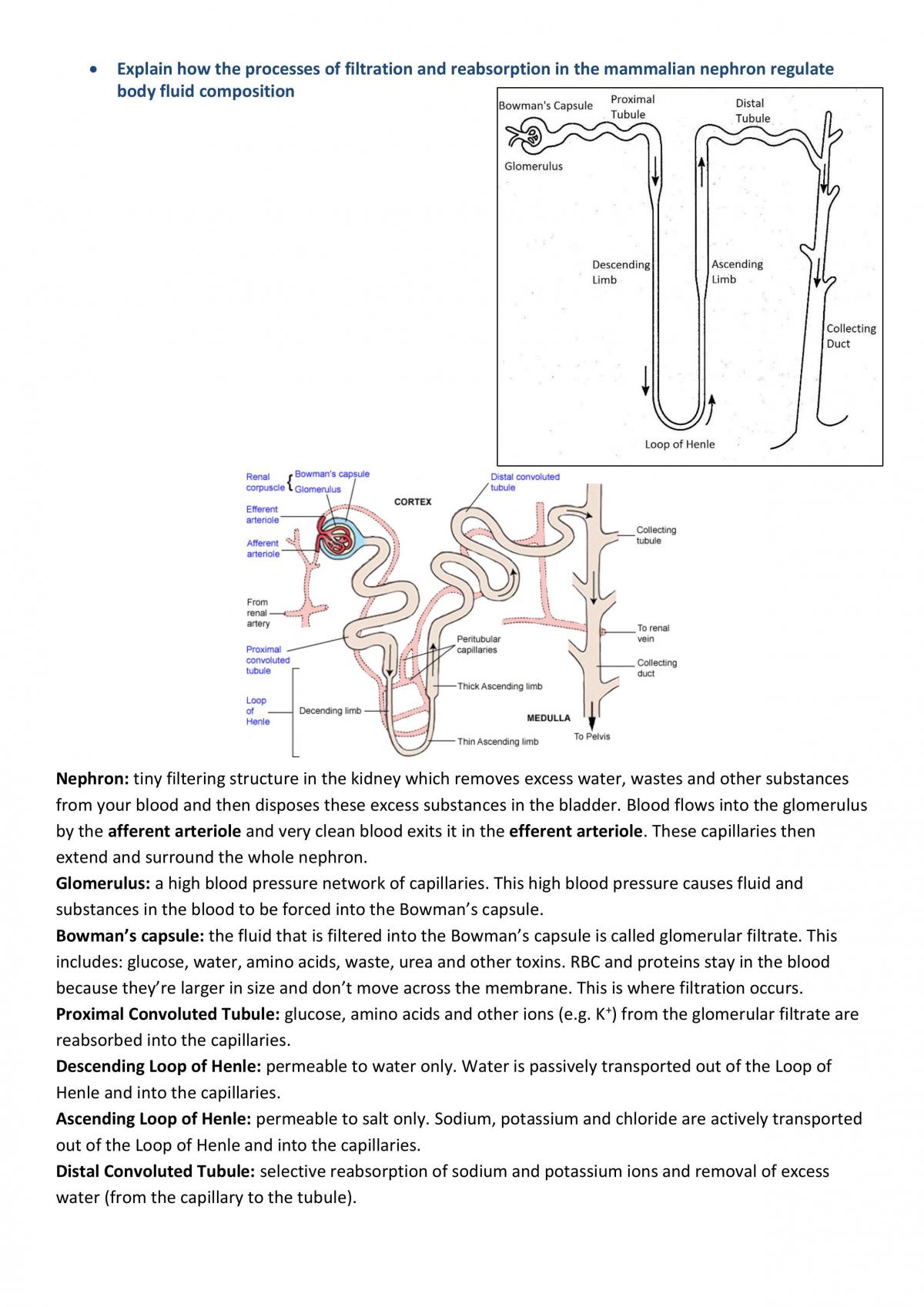 Syllabus Notes on Module: Maintaining a Balance - Page 18