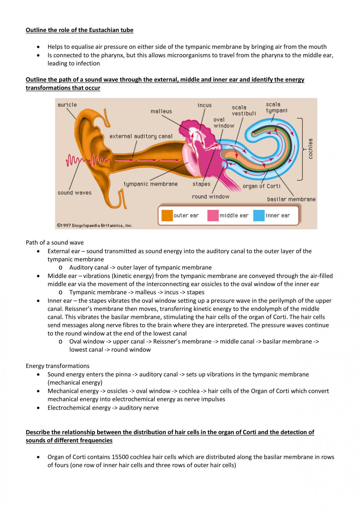 Biology Topic- Communication Study Notes - Page 25