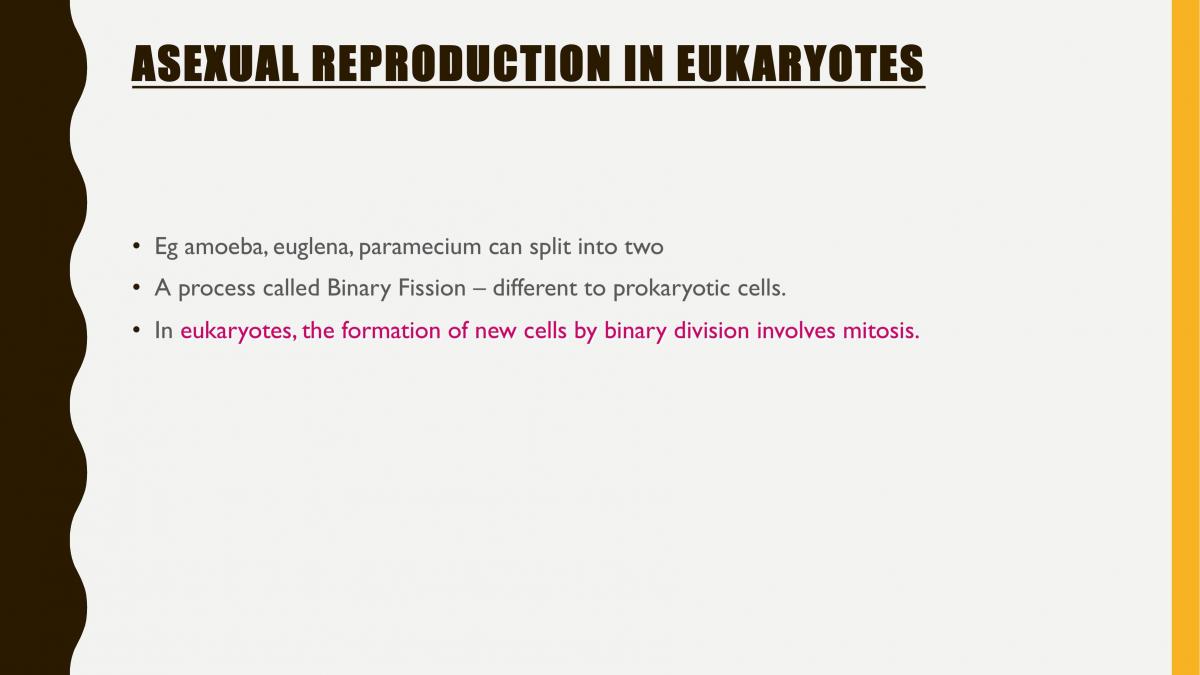 Chromosomes and Asexual Reproduction Unit 2 - Page 21