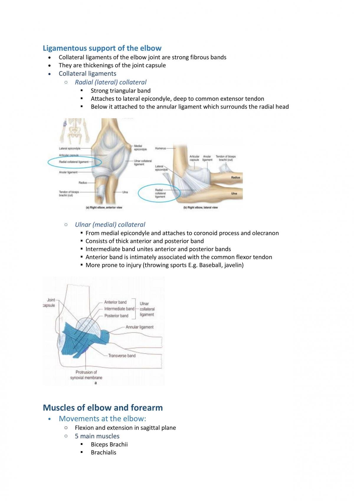HSE102 - Functional Human Anatomy Full Notes - Page 69