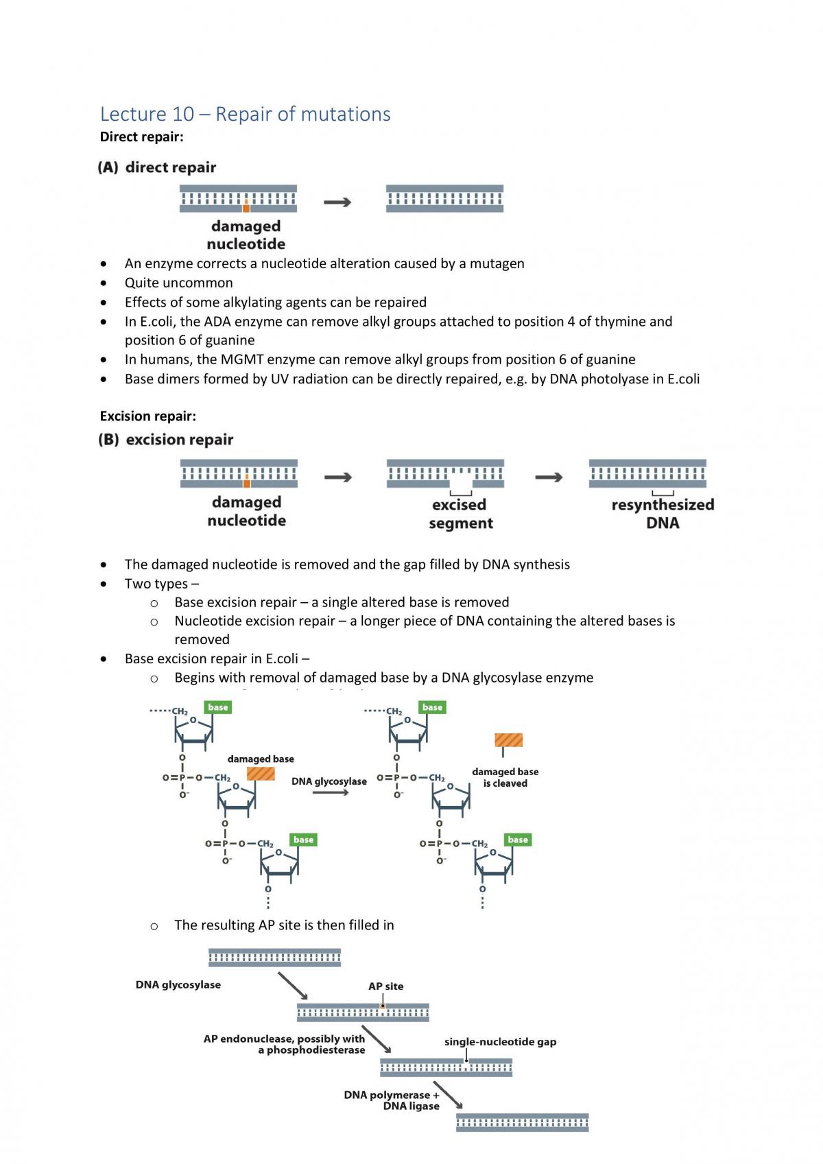 Molecular Biology Full Notes - Page 25