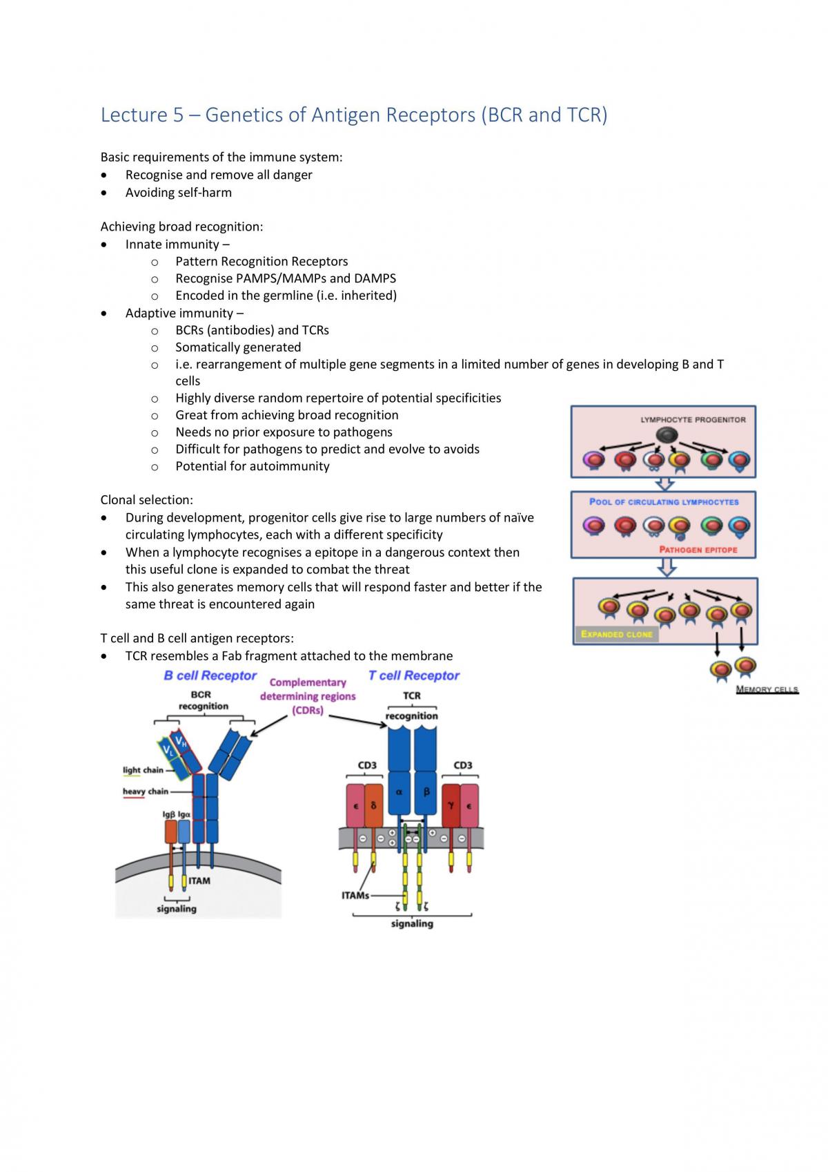 Immunology study notes - Page 28