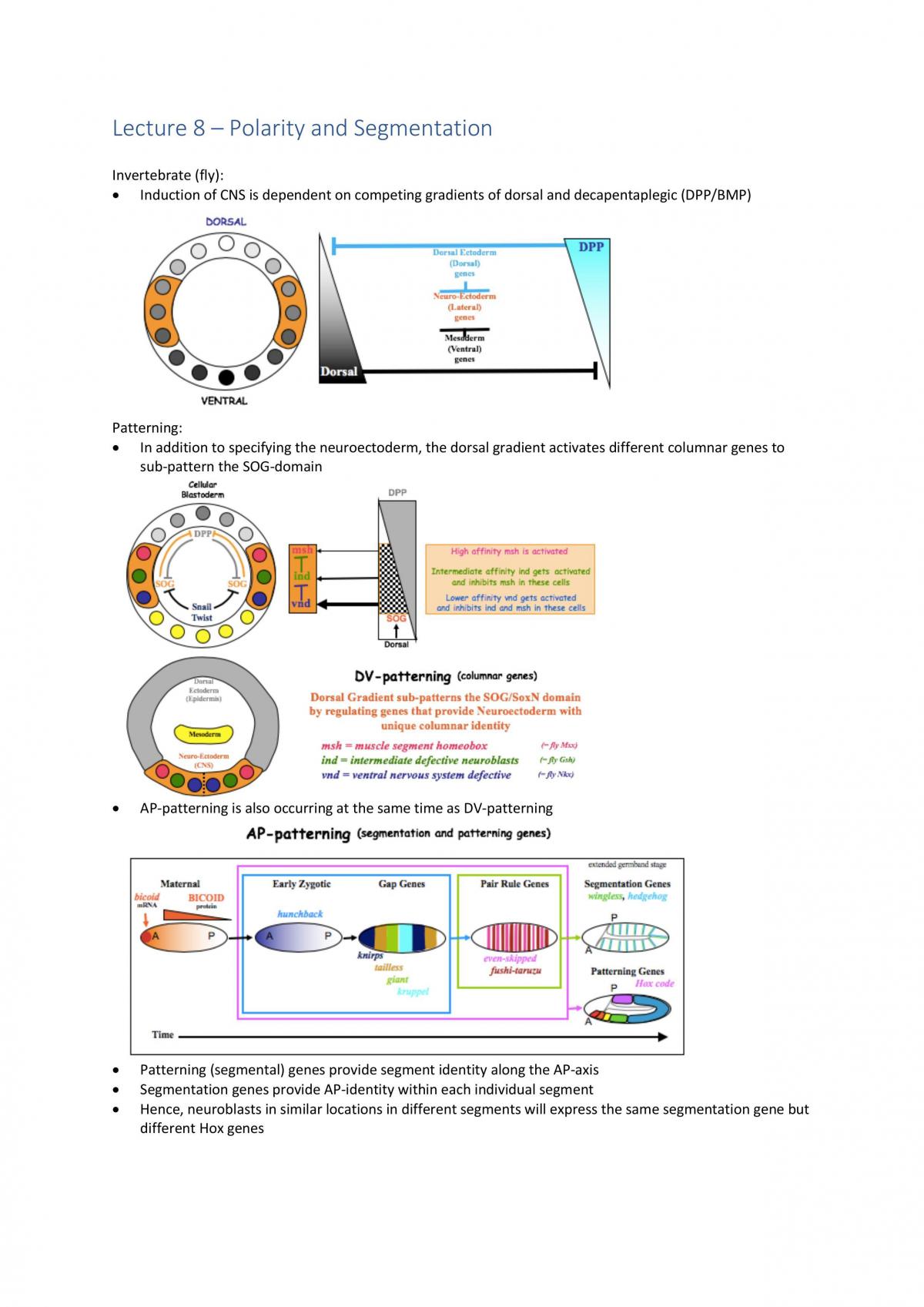How to Make a Brain notes - Page 50