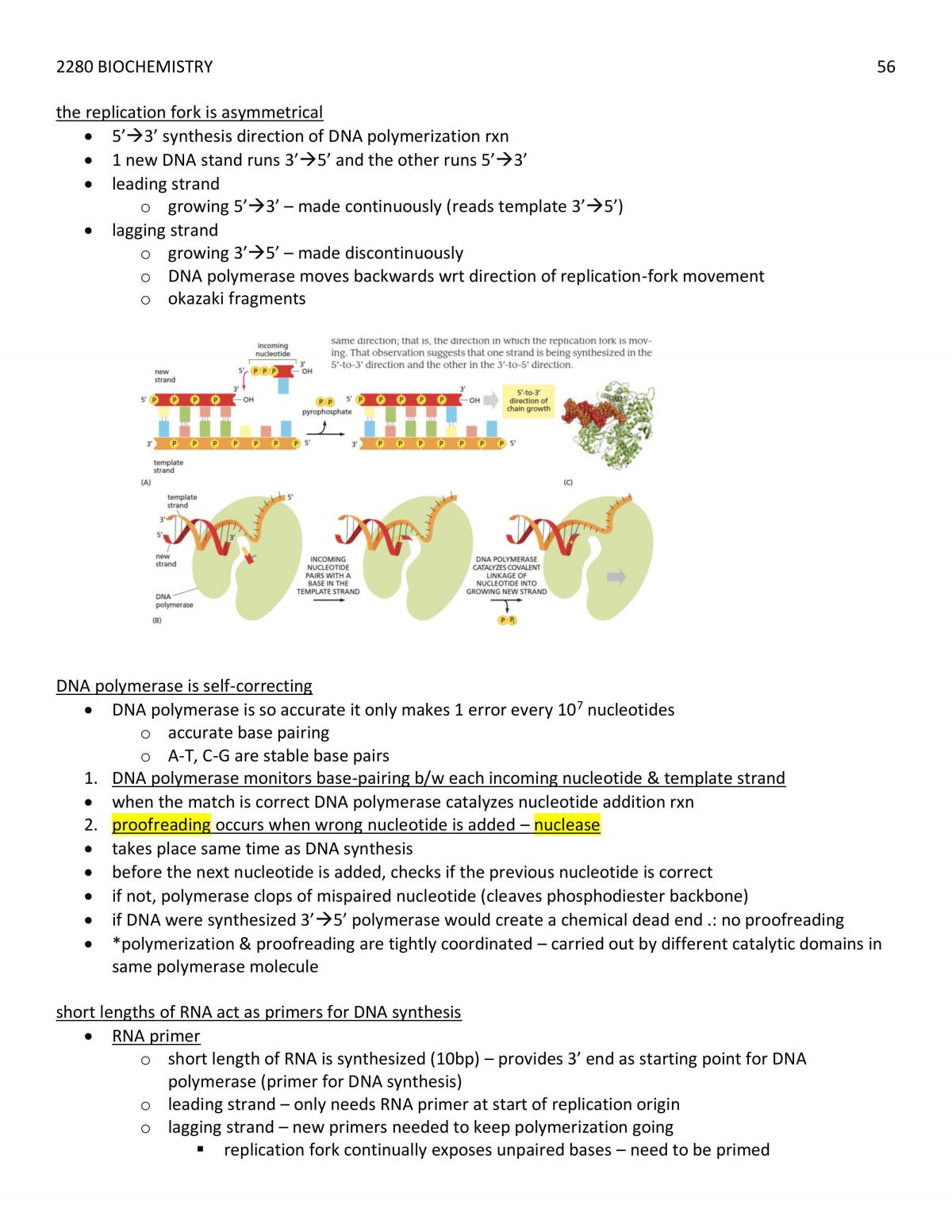 Complete 2280 Biochemistry Notes - Page 56