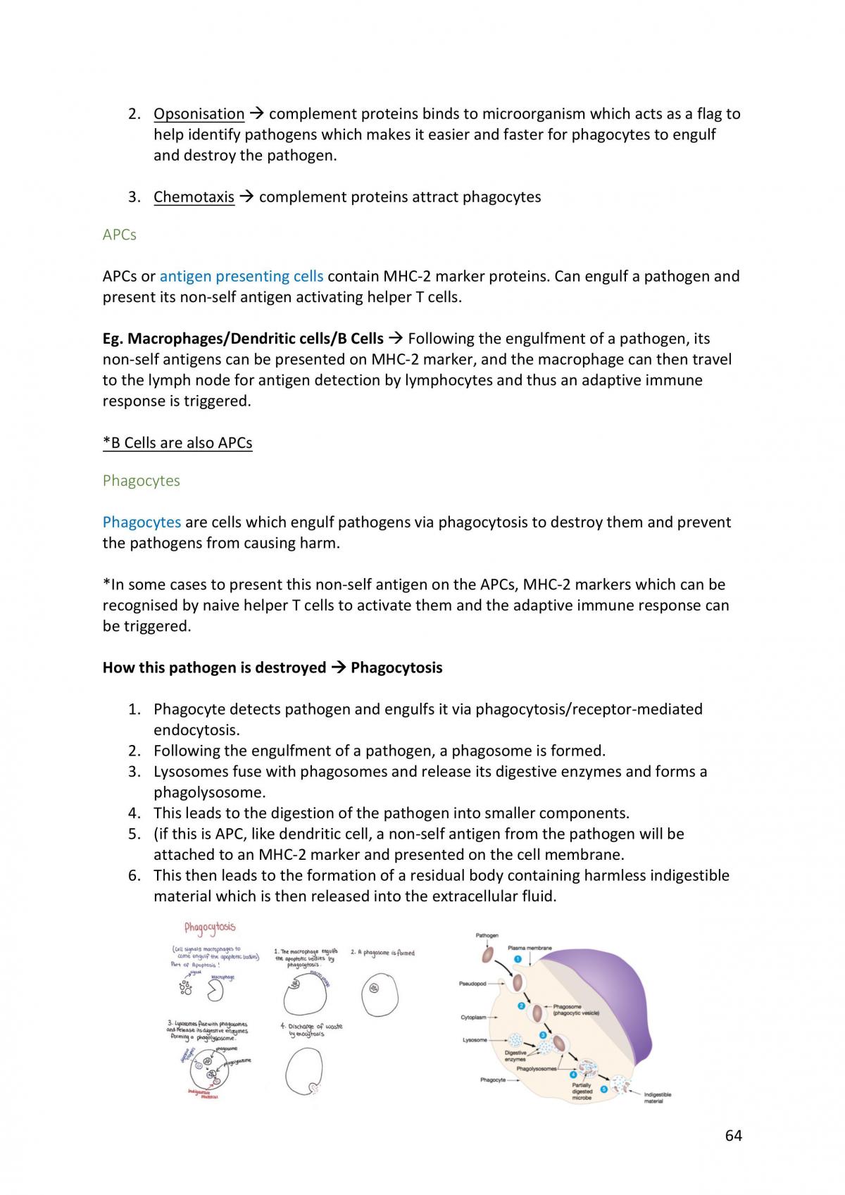 Unit 3 4 Biology Notes - Page 65
