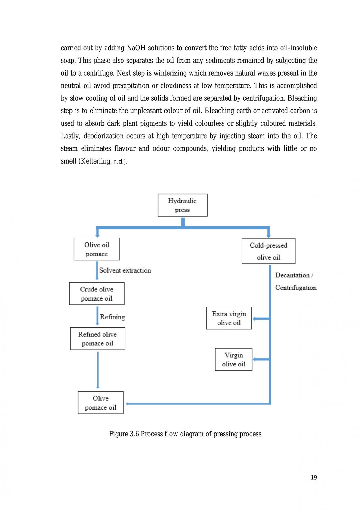 Assignment - Production of Olive Oil by Extraction - Page 20