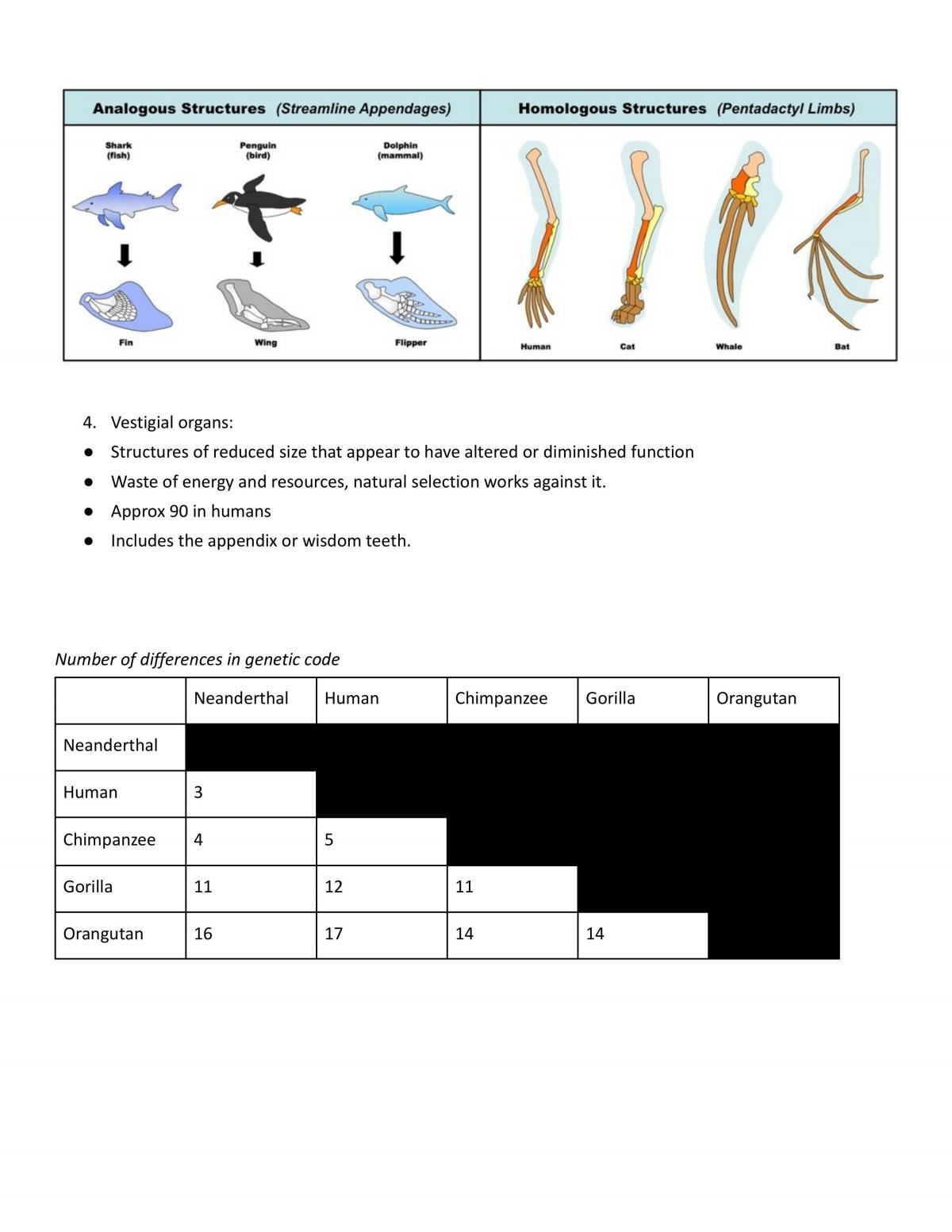 Human Biology Complete Study Guide - Page 31