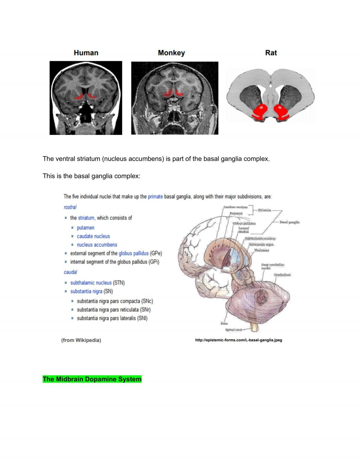 Brain and Behaviour Lecture Notes - Page 148