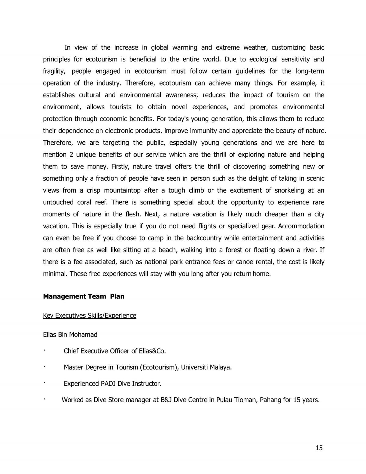 Business Plan Development - Page 15