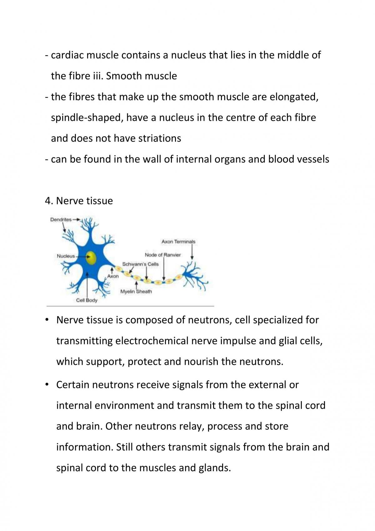 Cell Structure and Cell Organisation  - Page 21