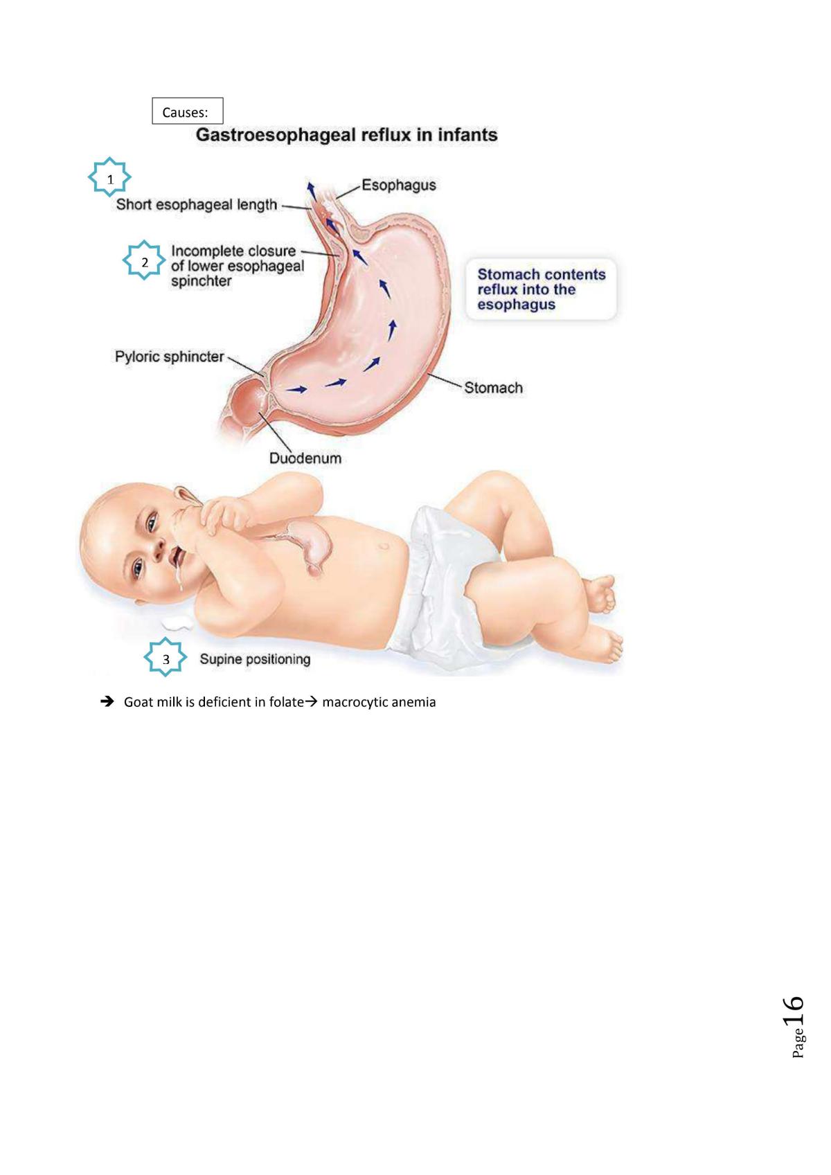 Gastroenterology - Peads - Page 16