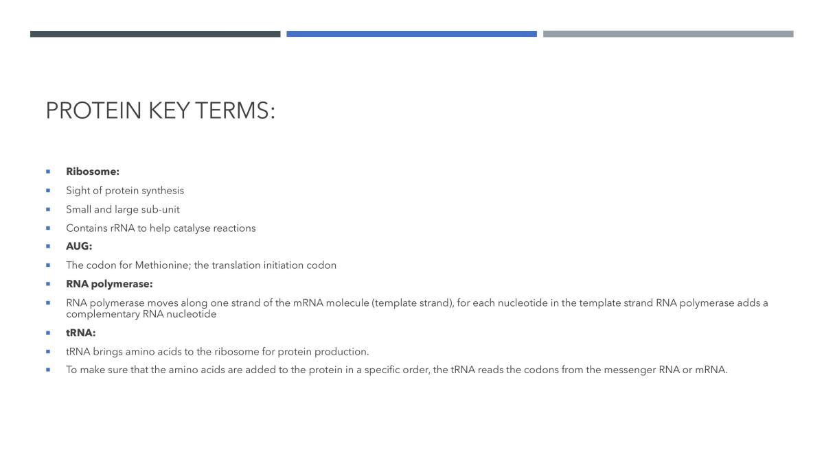 DNA and Proteins Notes  - Page 16