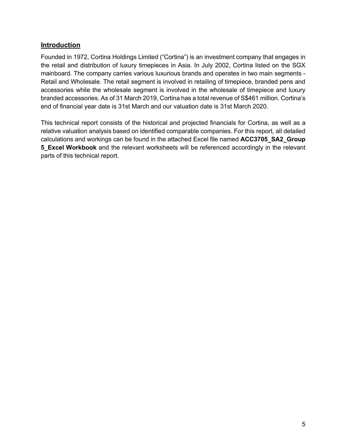 ACC3705 Cortina Project Report - Page 4
