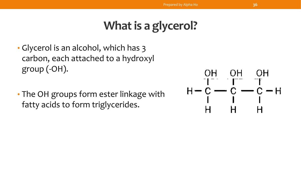 Biochemistry: Lipids - Page 35