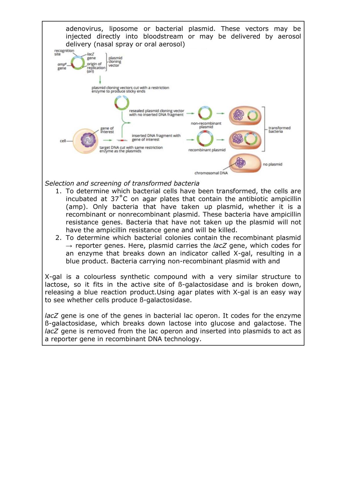 Biology module 6 summary notes - Page 27