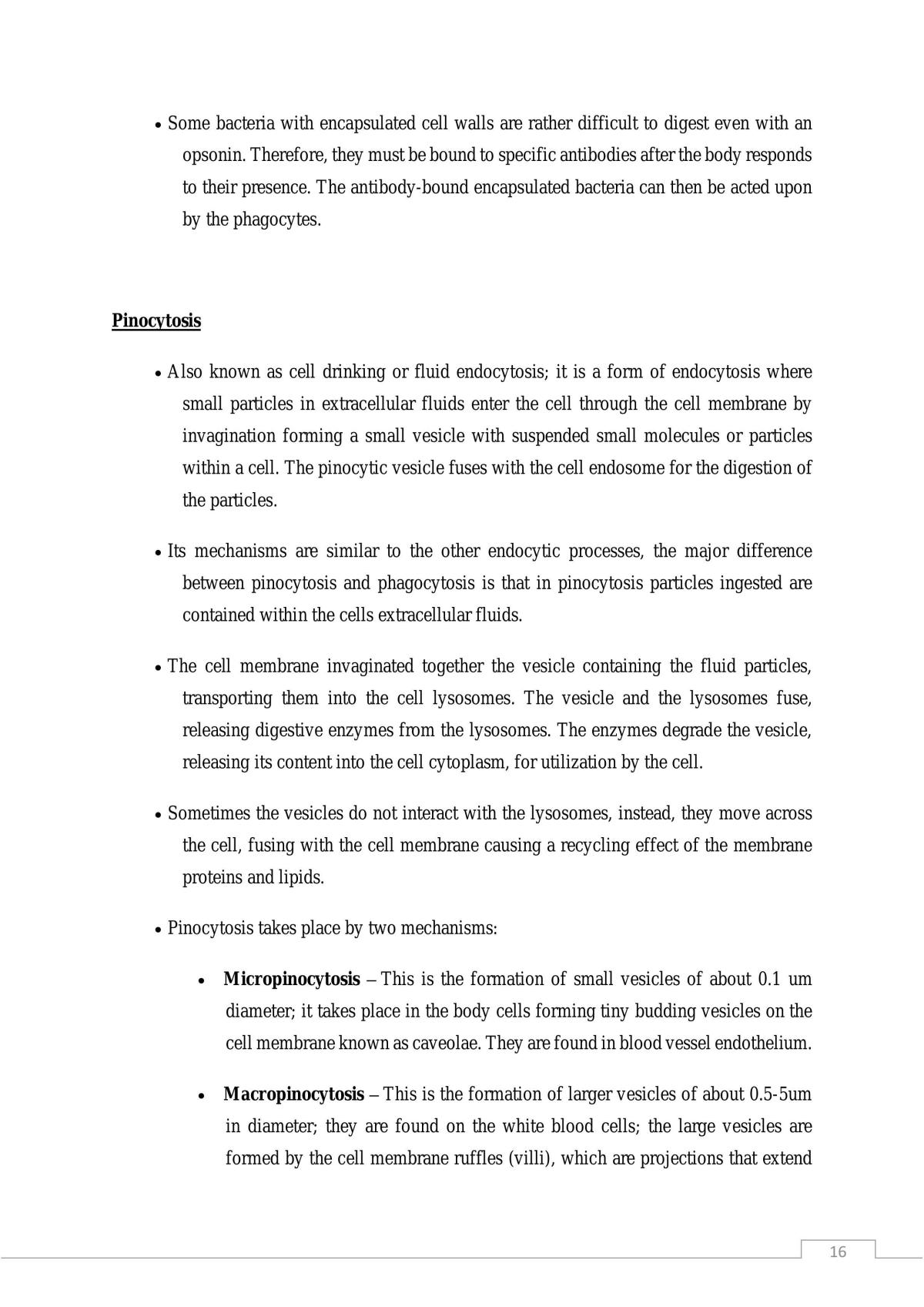 Immunology Studies Notes - Page 16