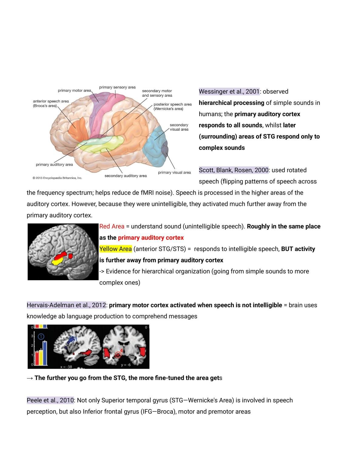 Complete Notes Language and Cognition - Page 40