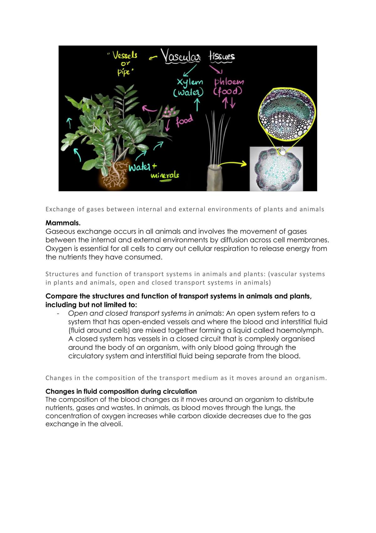 BIO prelim notes - Page 15