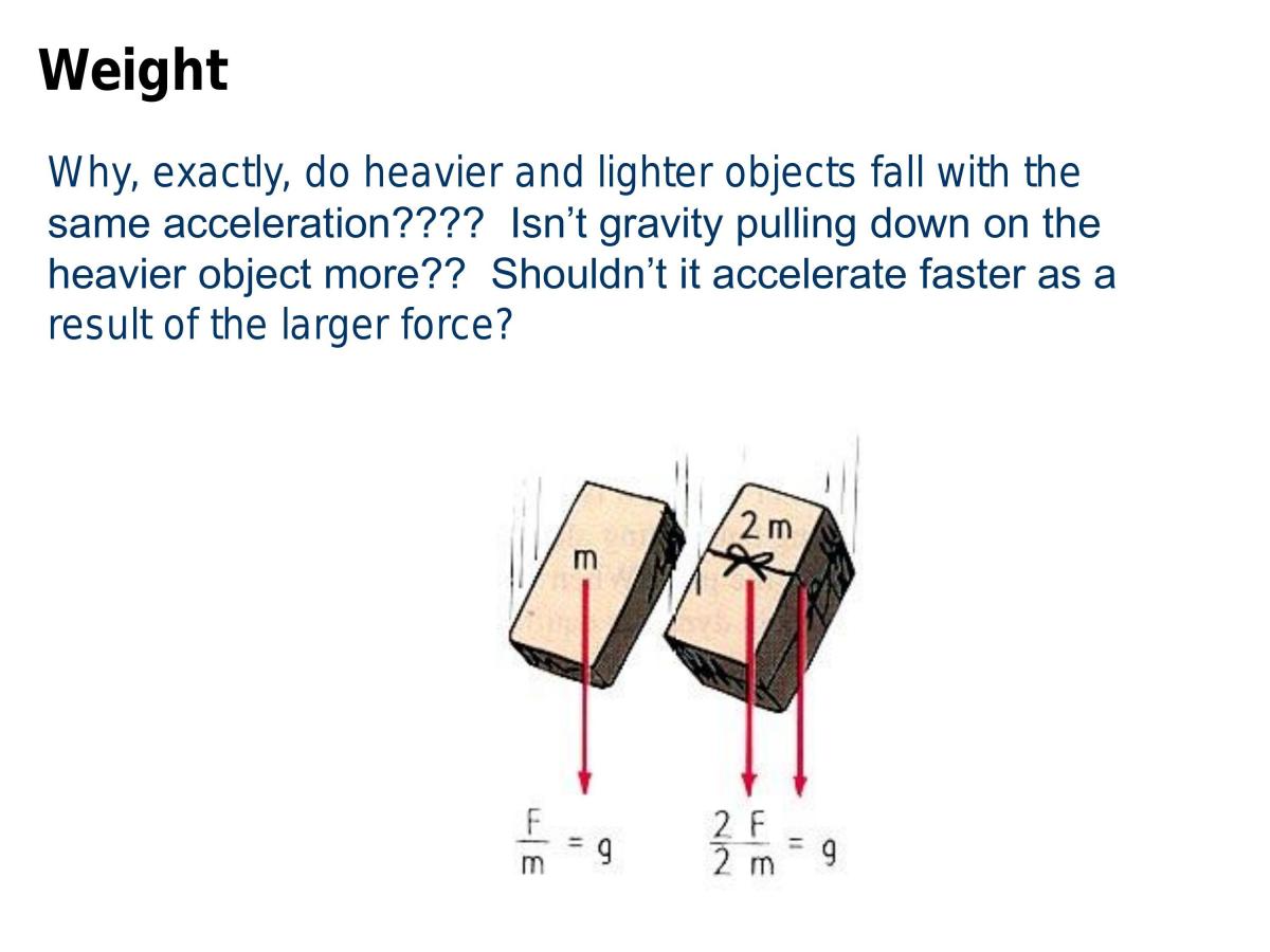 Module 2 IQ 1 - Page 39