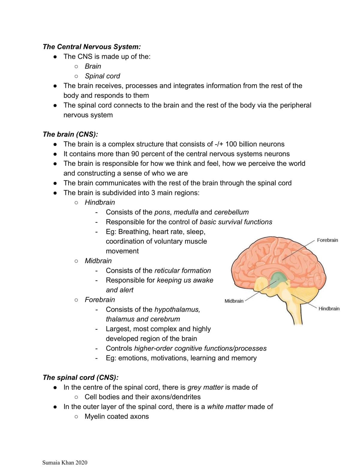 Psych Notes - Page 4