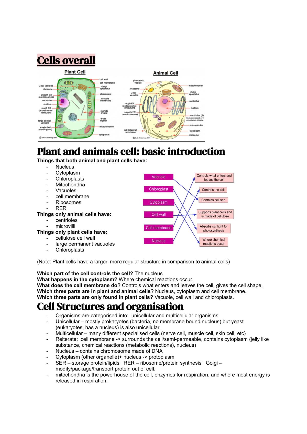 Biology IGCSE year 11 study notes level 1 - Page 11