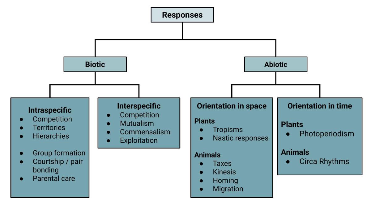 Biology 3.3 - Page 16