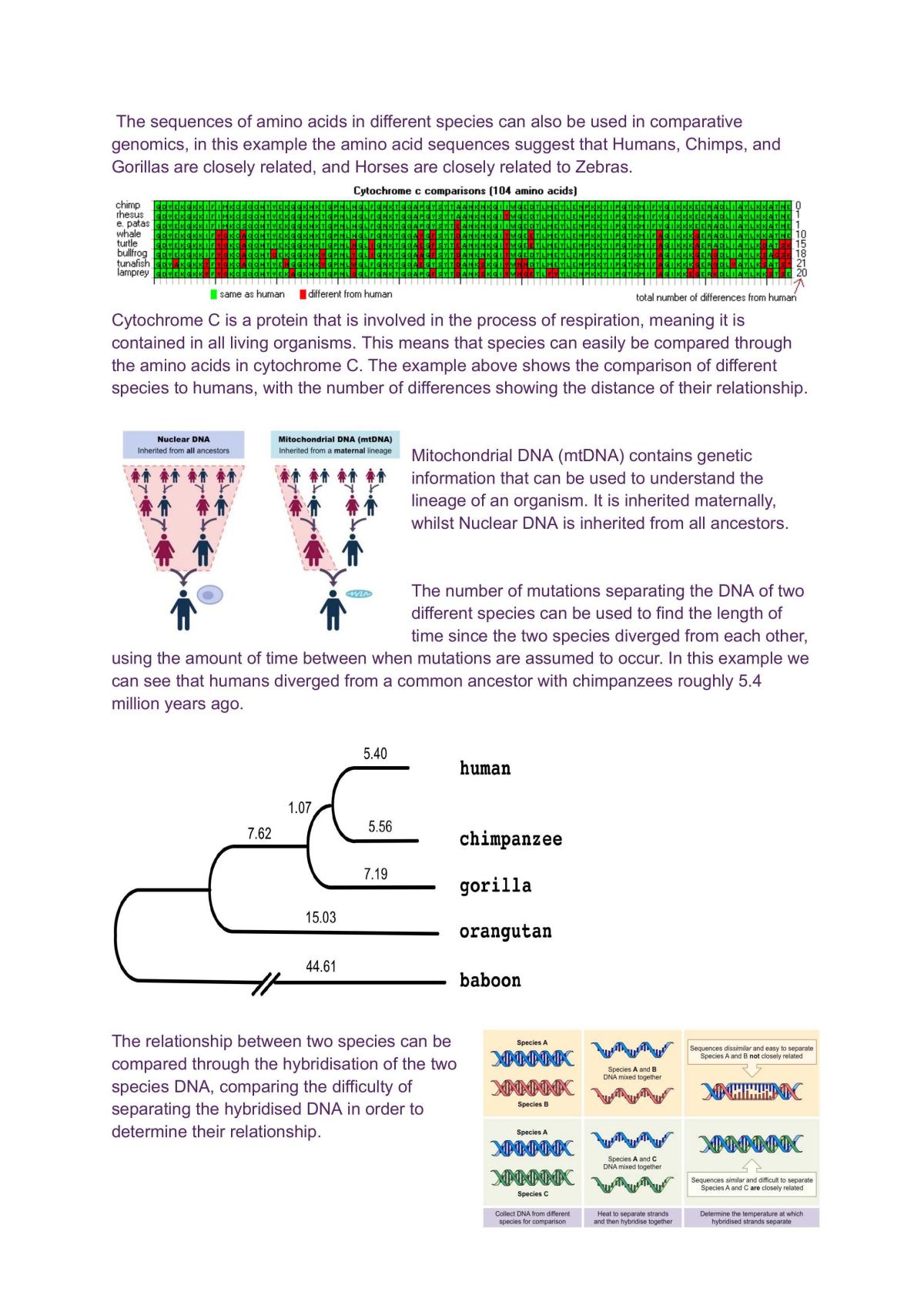 In Depth Touch on Biology - Page 15