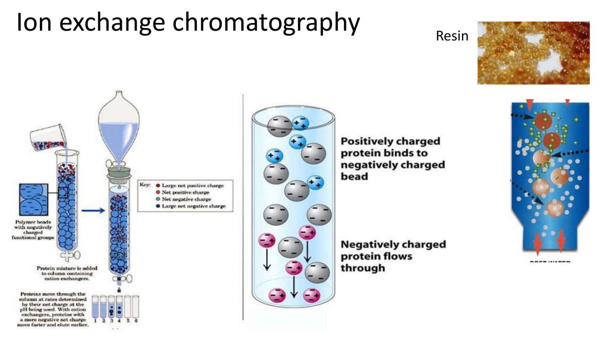 Chromatography - Page 28