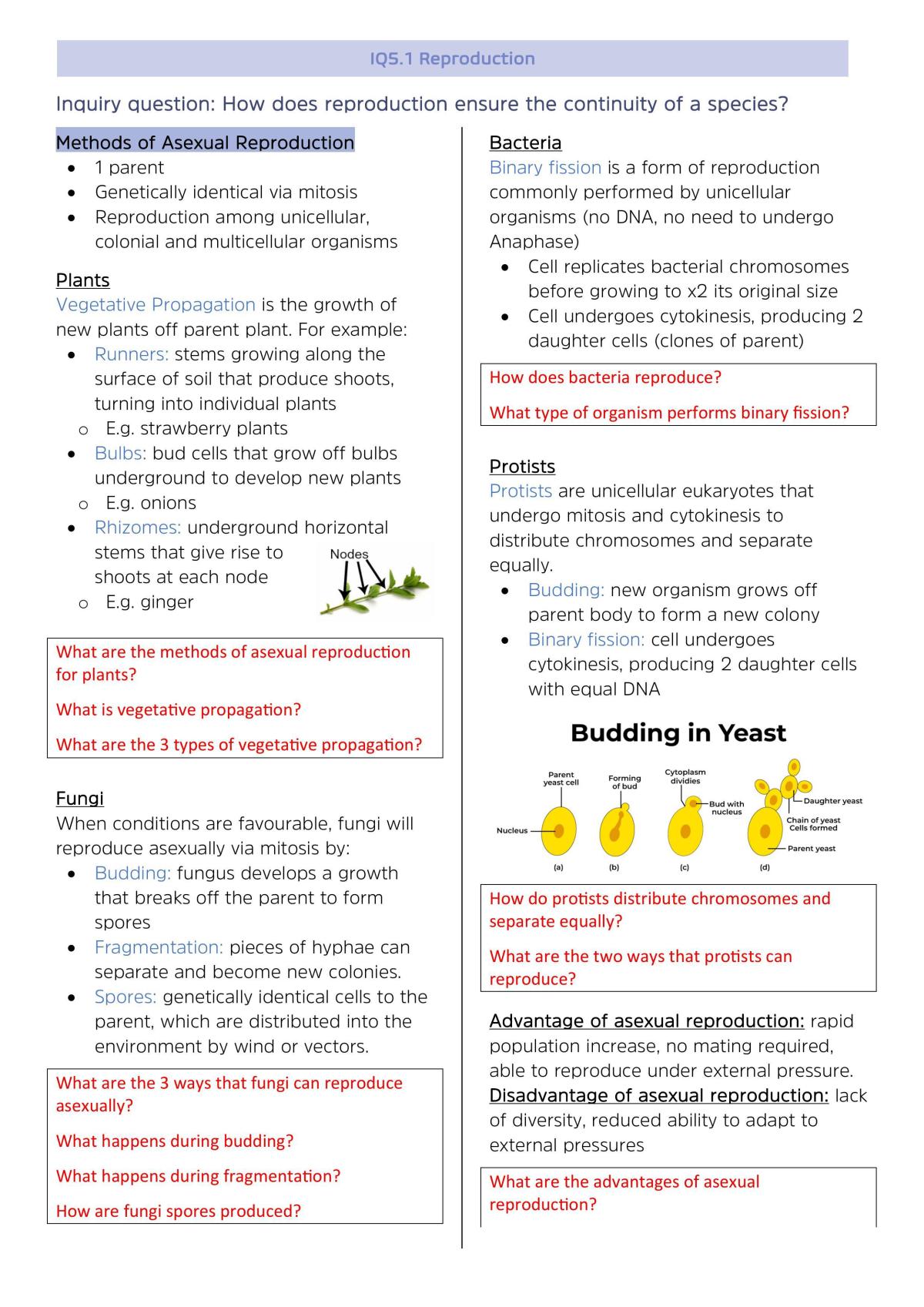 HSC Biology Notes - Page 4