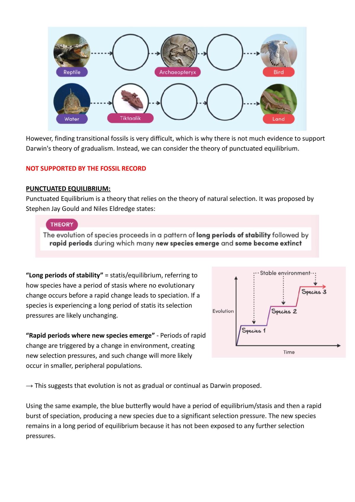 PRELIM BIOLOGY Module 3 (Ecosystem Dynamics) Study Notes - Page 24