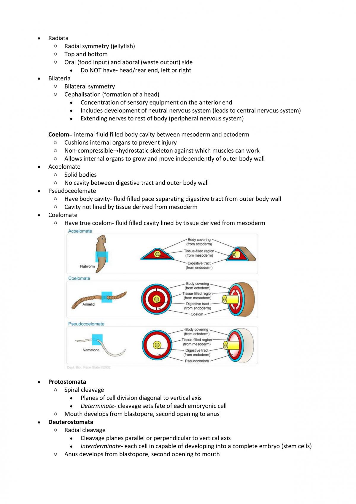 1041SCG Biological Systems Semester Summary - Page 18