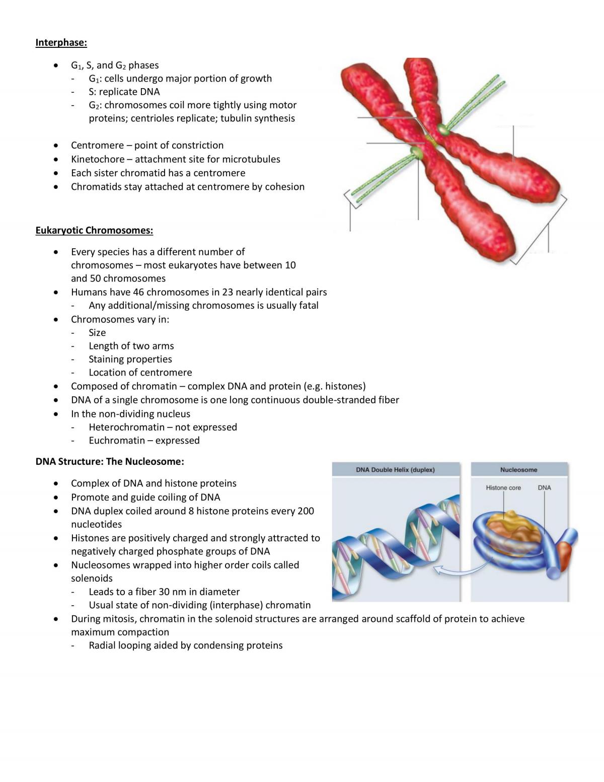 Cell Biology Study Notes - Page 52
