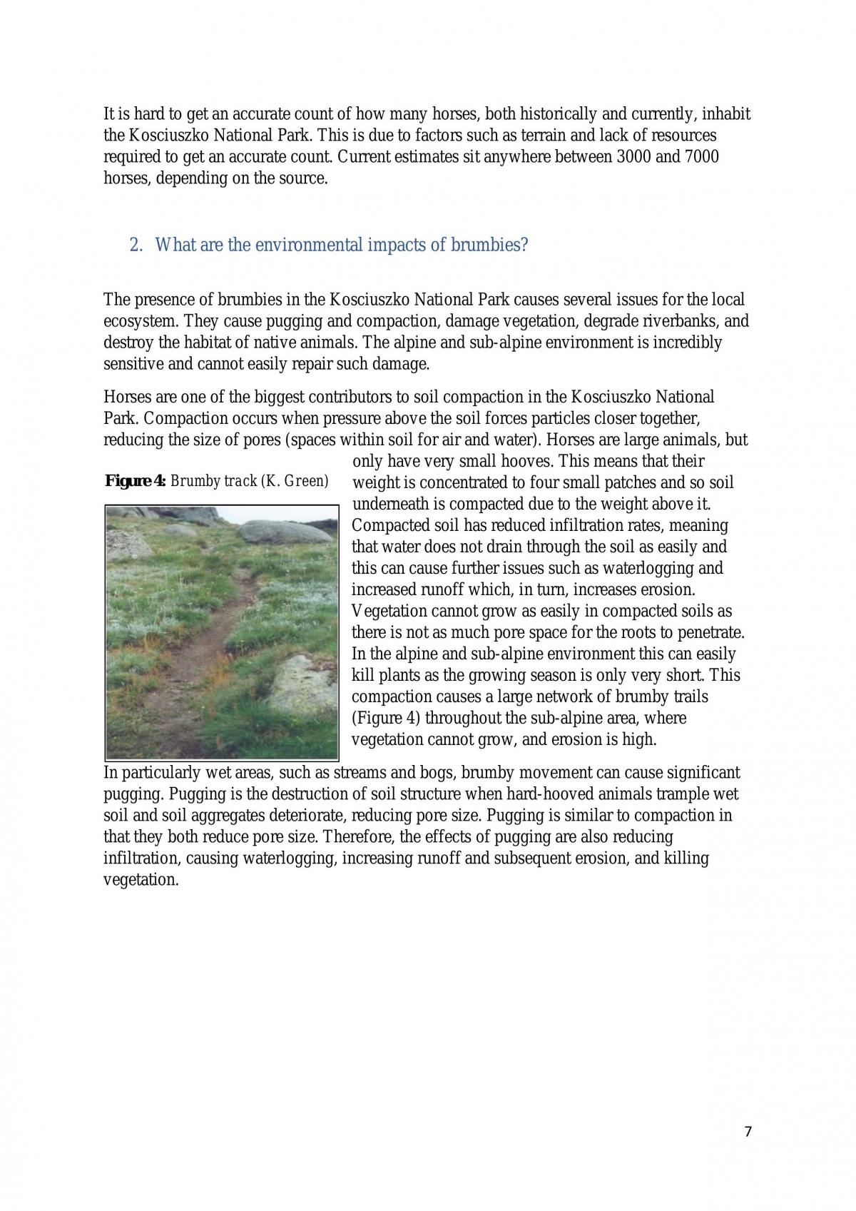 SGP: The Impact and Management of Brumbies in the Kosciuszkco National Park - Page 7