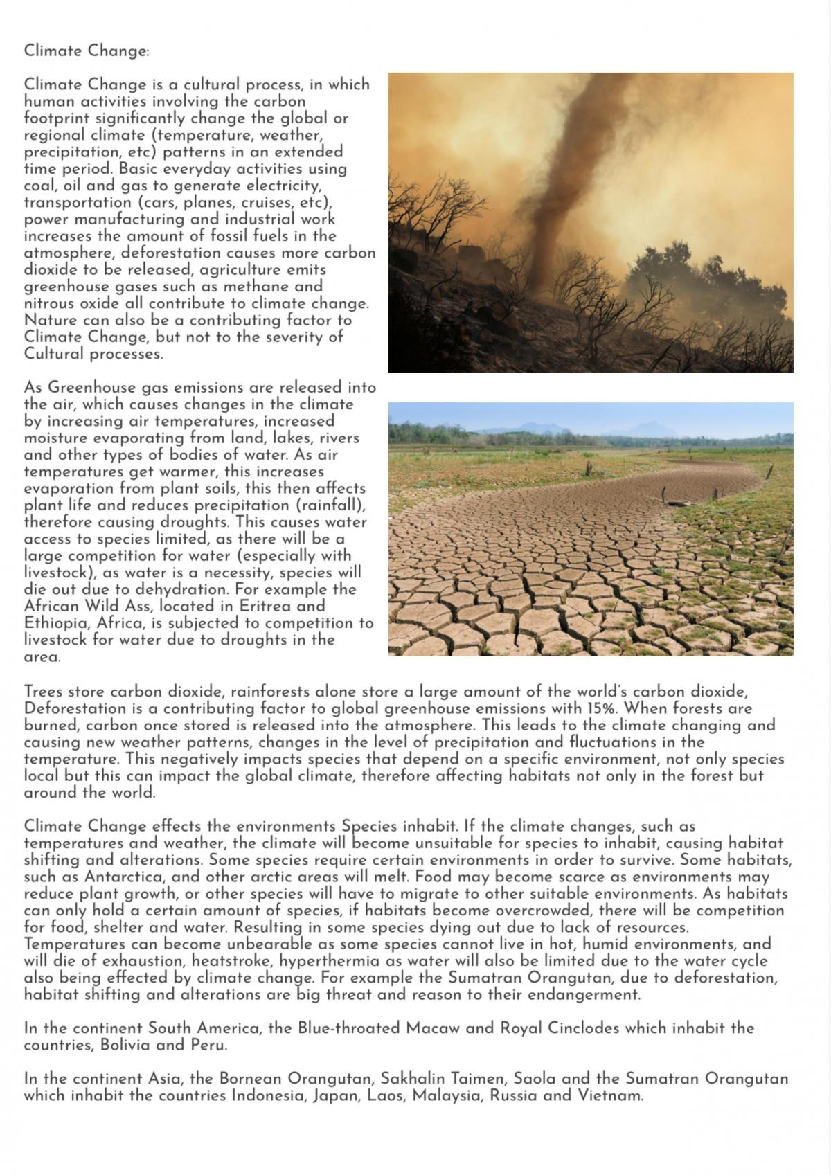 AS1246 Full Excellence Exemplar - Page 12