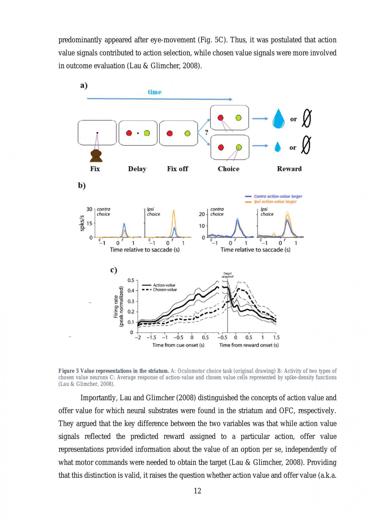 Neural substrates of decision-making and reward prediction errors - Page 13