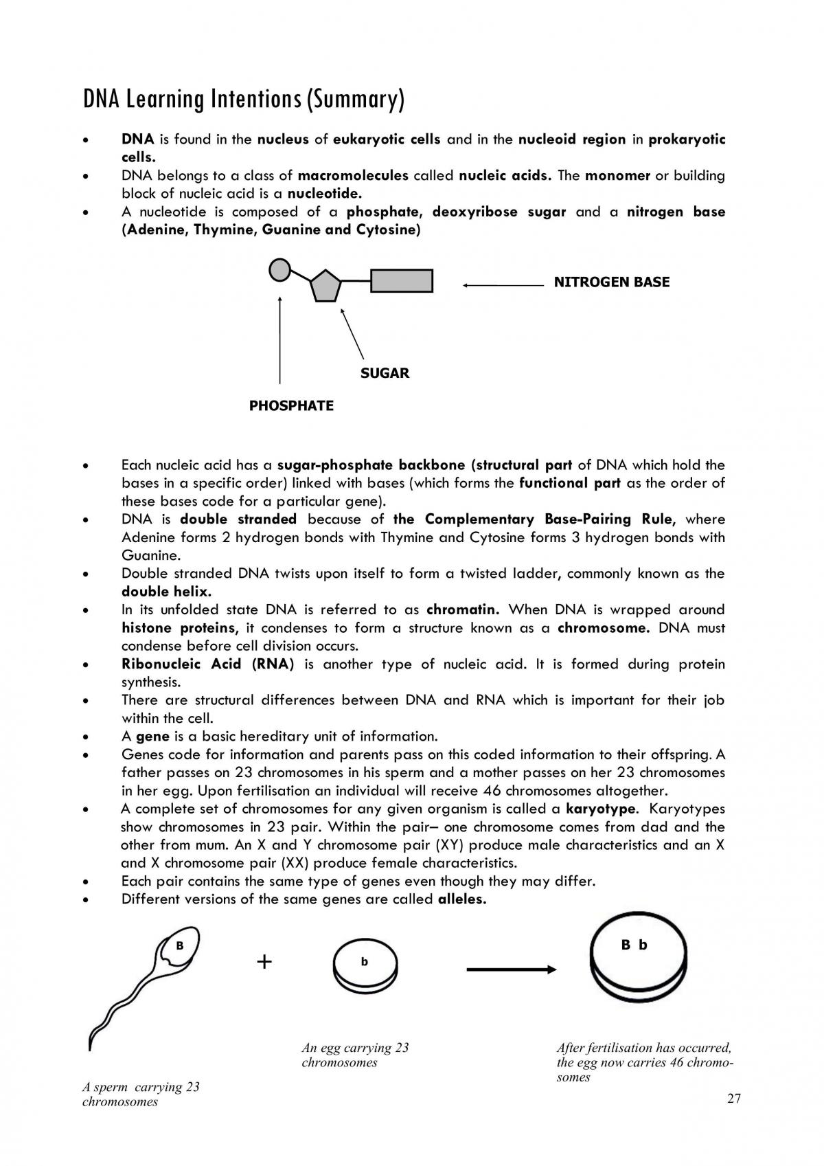 Cells, Macromolecules and Metabolic Processes - Page 27