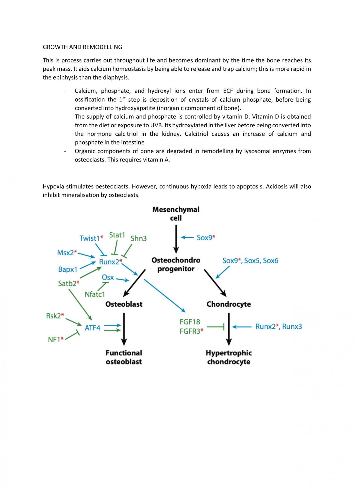 OHS 516 - Ergonomics Summary - Page 25
