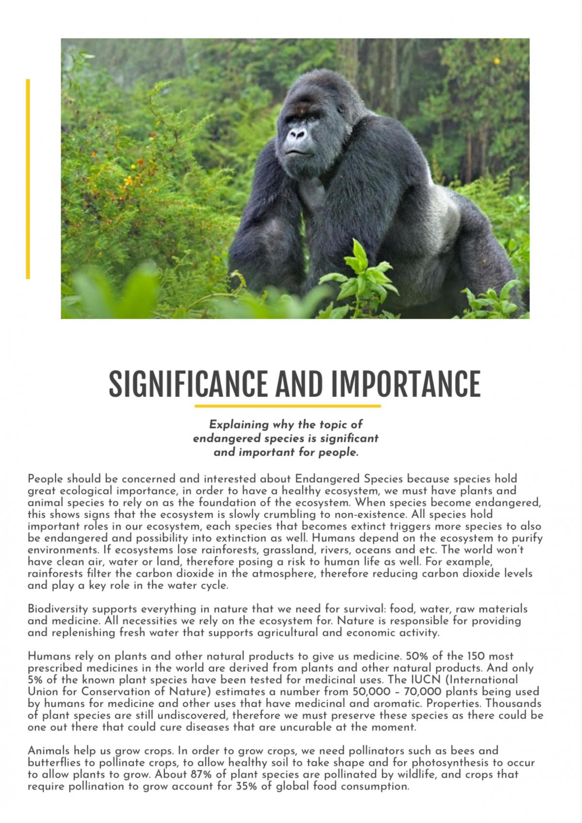 AS1246 Full Excellence Exemplar - Page 15
