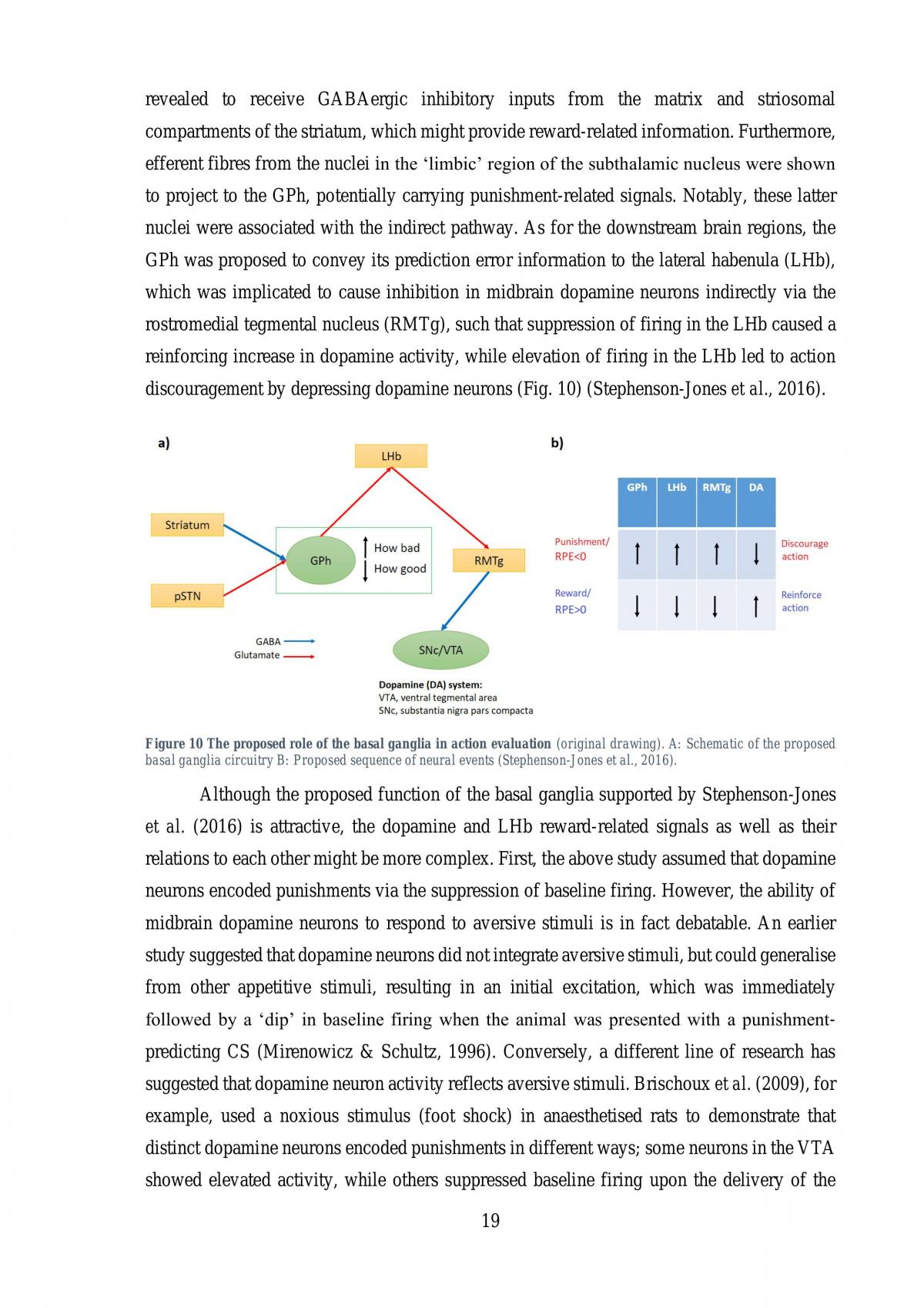 Neural substrates of decision-making and reward prediction errors - Page 20